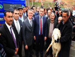 20 aileye 20’şer koyun birer koç